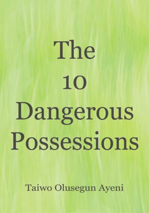 Cover of the book The 10 Dangerous Possessions by Jeanie Doyle Singler
