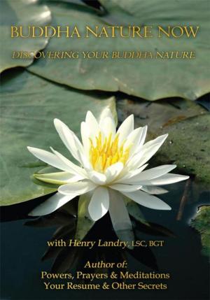 bigCover of the book Buddha Nature Now by 