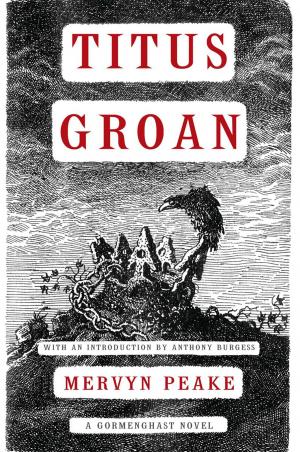 Cover of Titus Groan by Mervyn Peake, ABRAMS