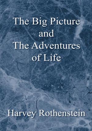 Cover of the book The Big Picture and the Adventures of Life by Sarah Kennedy