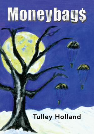 Cover of the book Moneybags by Helen R. Gill
