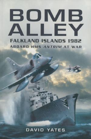 Cover of the book Bomb Alley by Kenneth L. Privratsky