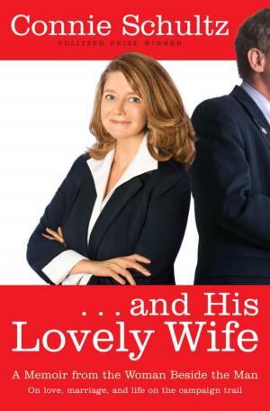 Cover of the book . . . And His Lovely Wife by Anne Perry