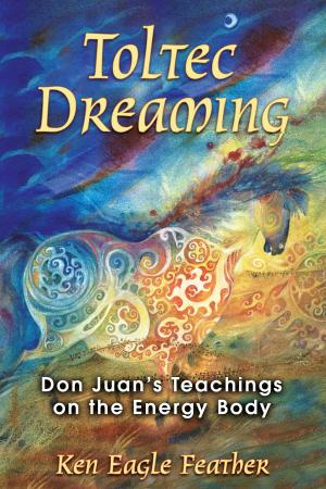 Cover of Toltec Dreaming