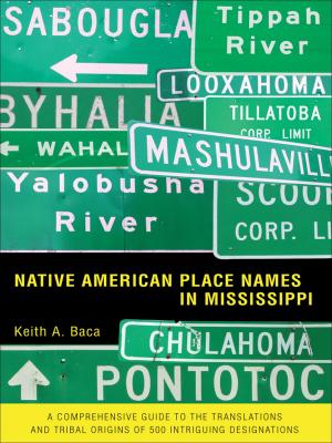 Cover of the book Native American Place Names in Mississippi by Michael Streissguth