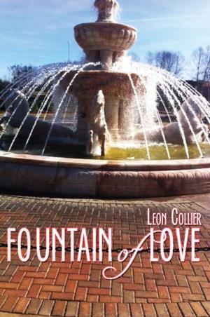 Cover of the book Fountain of Love by James Hagerty