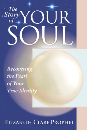 Cover of the book The Story of Your Soul by Marilyn C. Barrick Ph.D.