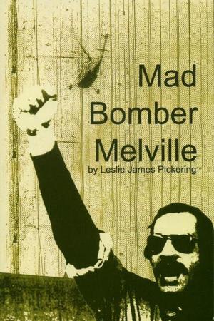 Cover of the book Mad Bomber Melville by Jairam Ramesh