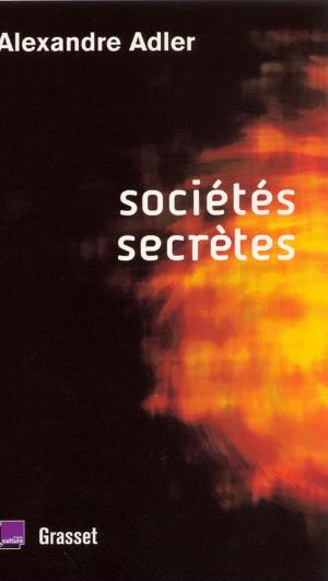 Cover of the book Sociétés secrètes by Pierre Grimblat
