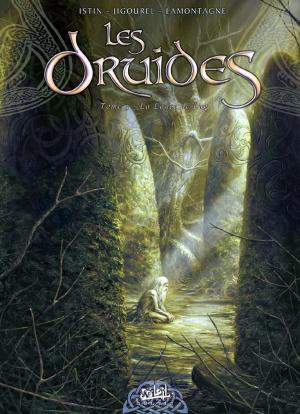 Cover of the book Les Druides T03 by Nicolas Jarry, Nicolas Demare