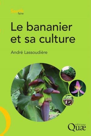 Cover of the book Le bananier et sa culture by Bernard Aubert, G. Vullin