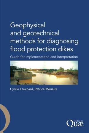 Cover of the book Geophysical and Geotechnical Methods for Diagnosing Flood Protection Dikes by Michel Courtillot, Gérard Raynal, Jean Gondran, René Bournoville