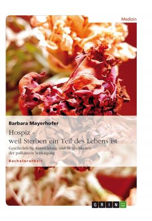 Cover of the book Hospiz - weil Sterben ein Teil des Lebens ist by Ferdinand Puch