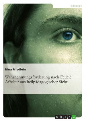 Cover of the book Wahrnehmungsförderung nach Félicié Affolter aus heilpädagogischer Sicht by Andreas Schwarz