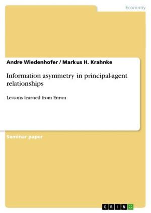 Cover of the book Information asymmetry in principal-agent relationships by Stephanie Uhlmann