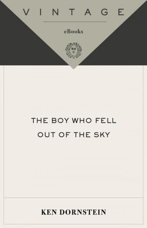 Cover of the book The Boy Who Fell Out of the Sky by Ken Dornstein, Knopf Doubleday Publishing Group