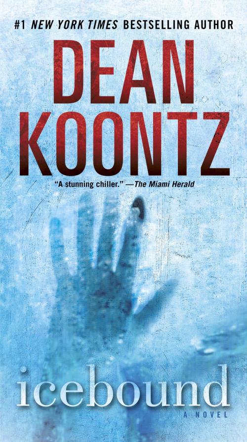Cover of the book Icebound by Dean Koontz, Random House Publishing Group