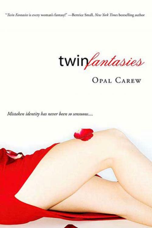 Cover of the book Twin Fantasies by Opal Carew, St. Martin's Press