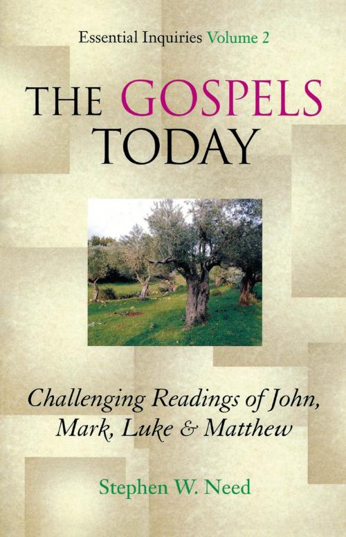 Cover of the book Gospels Today by Stephen W. Need, Cowley Publications