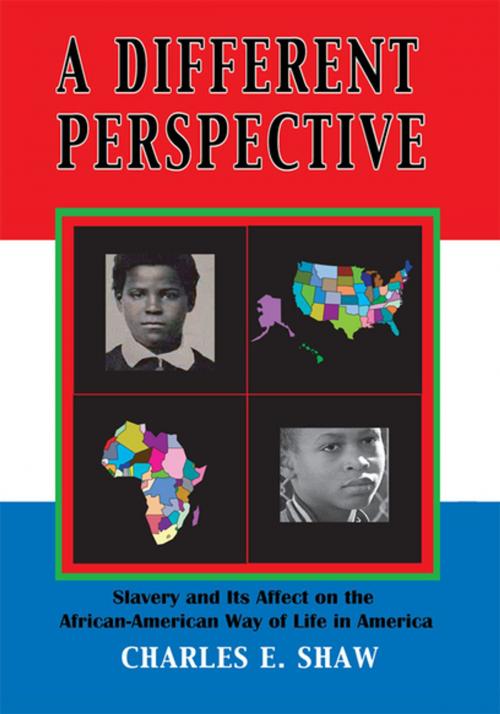 Cover of the book A Different Perspective by Charles E. Shaw, Xlibris US
