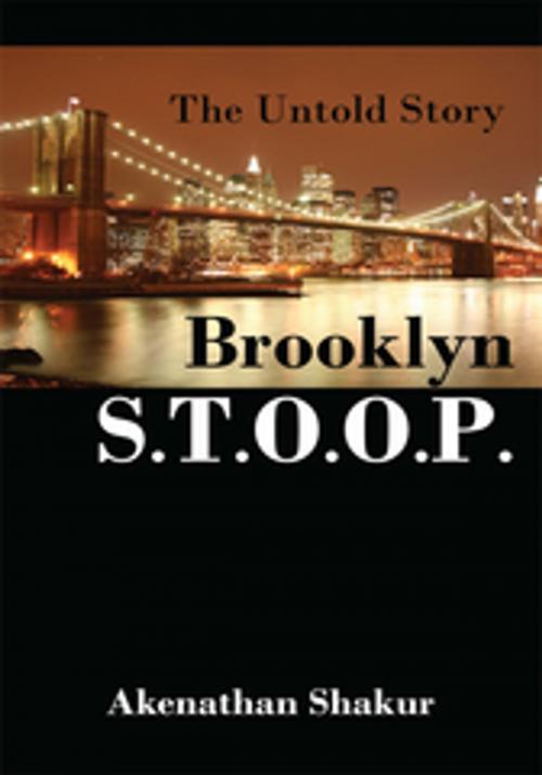 Cover of the book Brooklyn S.T.O.O.P. by Akenathan Shakur, AuthorHouse