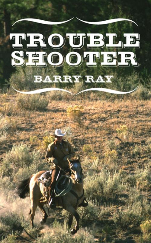 Cover of the book Troubleshooter by Barry Ray, AuthorHouse