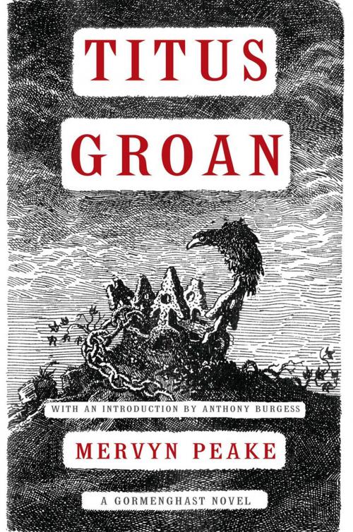 Cover of the book Titus Groan by Mervyn Peake, ABRAMS