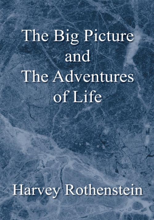 Cover of the book The Big Picture and the Adventures of Life by Harvey Rothenstein, Xlibris US