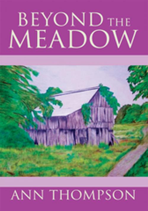 Cover of the book Beyond the Meadow by Ann Thompson, Xlibris US