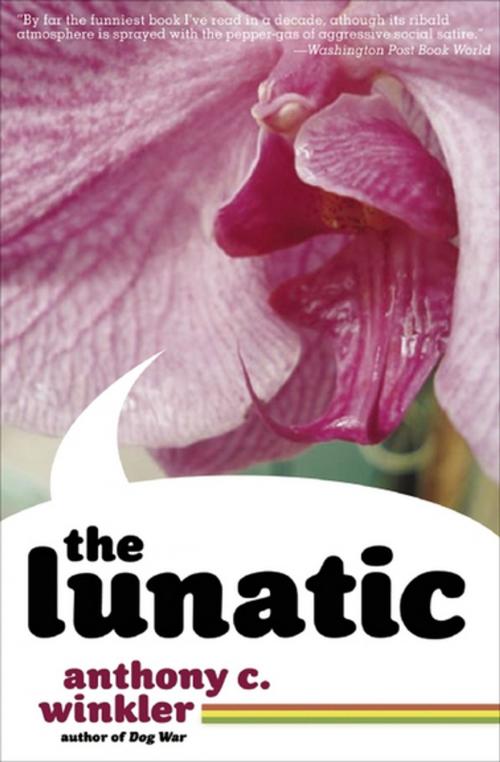 Cover of the book The Lunatic by Anthony C. Winkler, Akashic Books (Ignition)