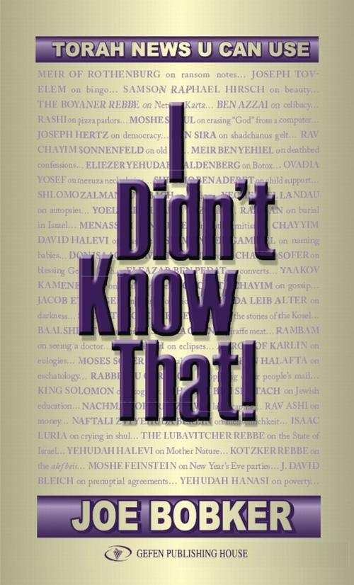 Cover of the book I Didn't Know That: Torah News U Can Use by Joe Bobker, Gefen Publishing House