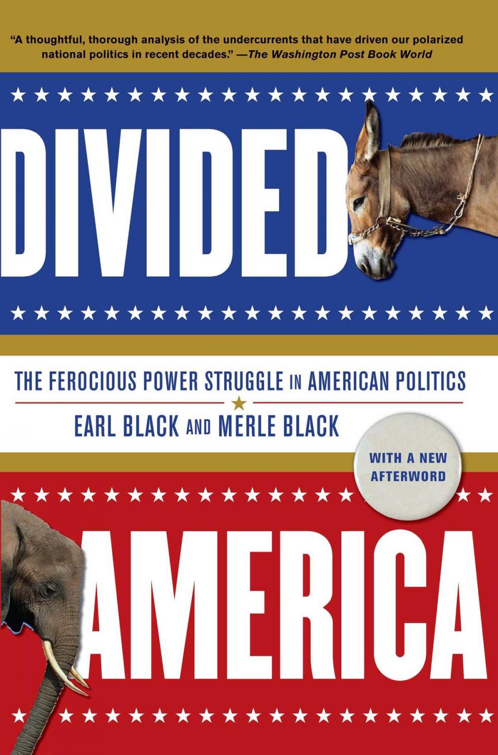 Big bigCover of Divided America