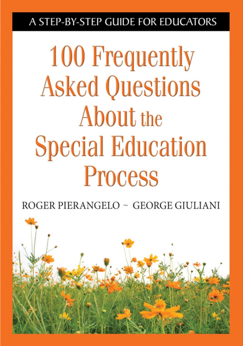 Big bigCover of 100 Frequently Asked Questions About the Special Education Process