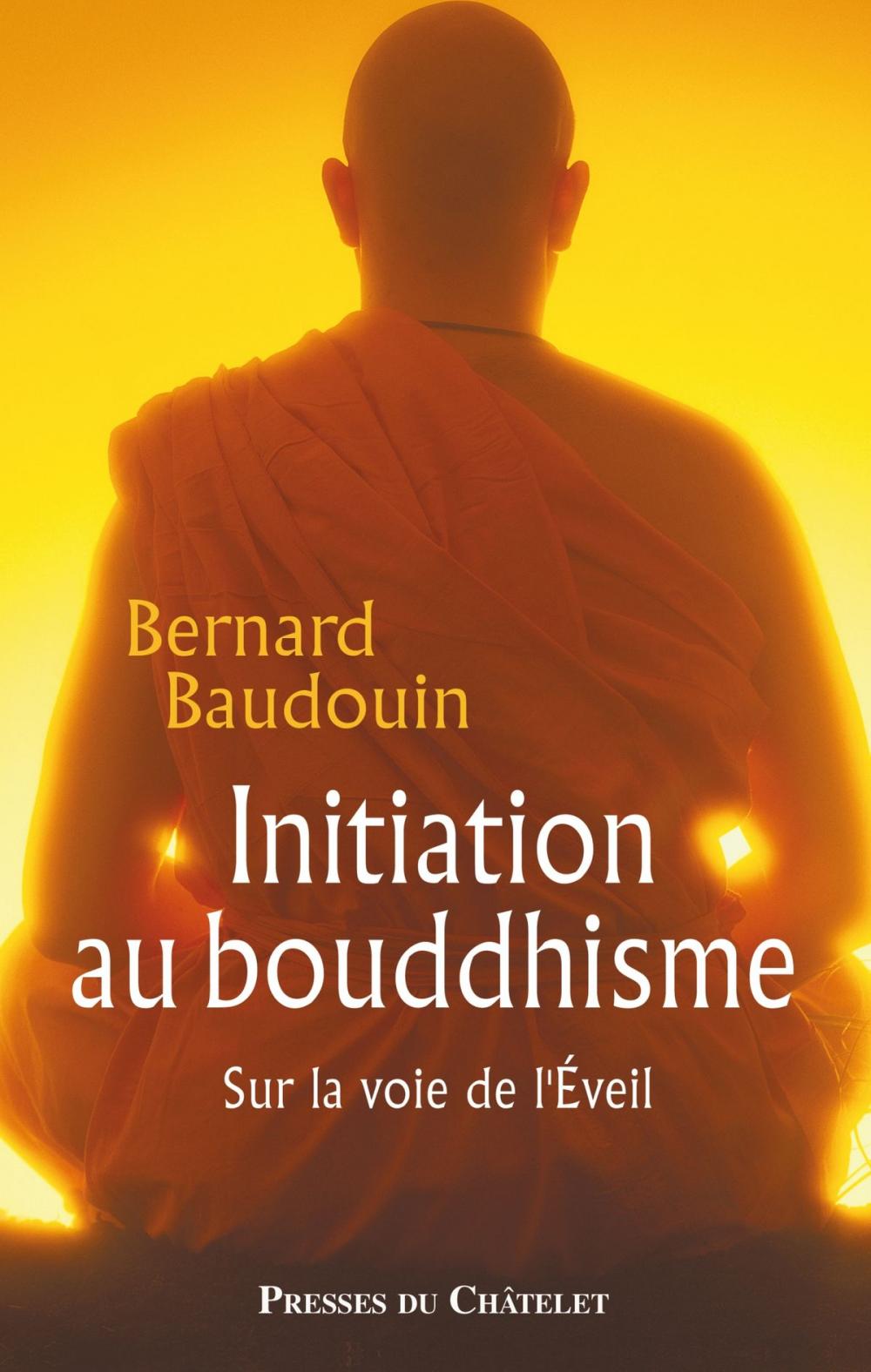 Big bigCover of Initiation au bouddhisme