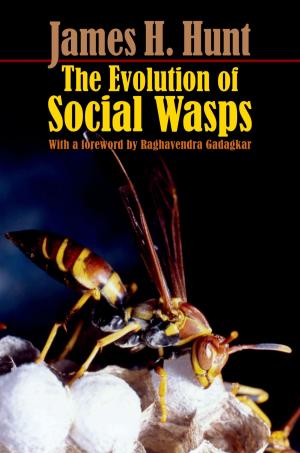 Cover of the book The Evolution of Social Wasps by Steven Suskin