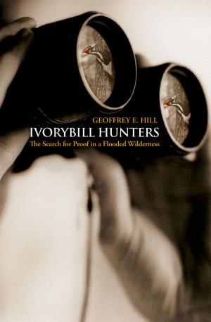 Book cover of Ivorybill Hunters