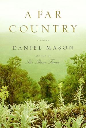 Cover of the book A Far Country by Stephen Harrigan