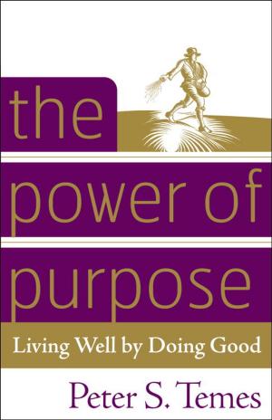 Cover of the book The Power of Purpose by Fredy Seidel