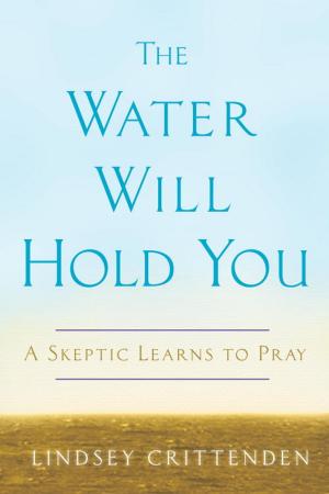 Cover of the book The Water Will Hold You by Michael Bunker