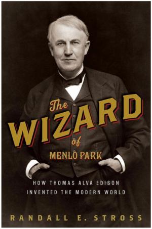 bigCover of the book The Wizard of Menlo Park by 