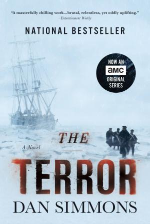 Cover of the book The Terror by Nicholas A. Christakis