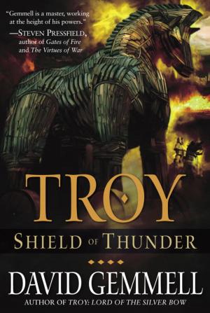 Cover of the book Troy: Shield of Thunder by John Medler
