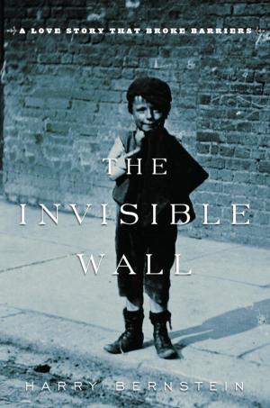 bigCover of the book The Invisible Wall by 