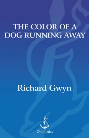 Book cover of The Color of A Dog Running Away