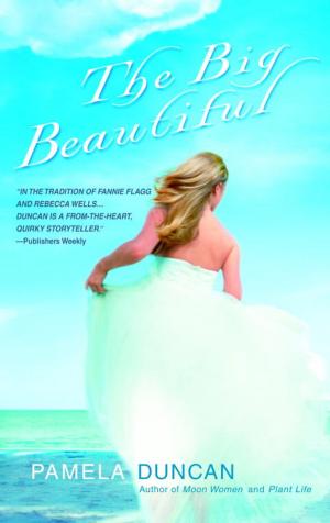 Book cover of The Big Beautiful