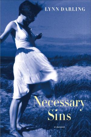Cover of the book Necessary Sins by Sharon Sakson