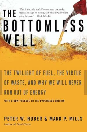 Cover of the book The Bottomless Well by Melanie Notkin