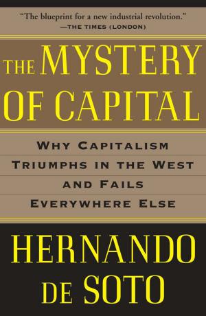 Cover of the book The Mystery of Capital by Edward Frenkel