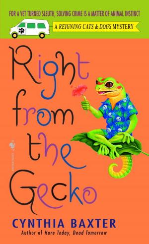 Cover of the book Right from the Gecko by Clinton McKinzie