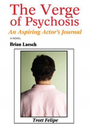 Cover of the book The Verge of Psychosis by Kevin Zarem